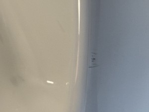 IMG_4826.jpeg